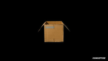 Open cardboard box meticulously handcrafted PBR textured 3D asset optimized Blender Unreal Engine urban streetscapes alleyways sidewalks high detail